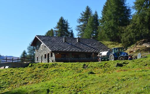 Alpe Grillon